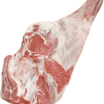 4800_leg_c-on