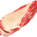 Oyster-Blade