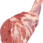 banjo_cut